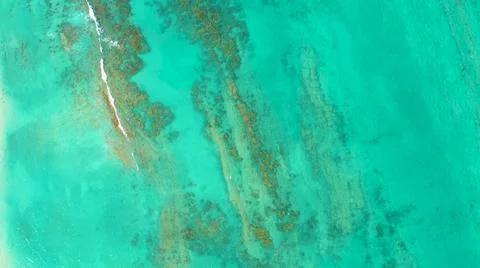 2021:CABO PULMO BCS MÉXICO.Looking At A Panning Shot Of The Algae Stock Photos