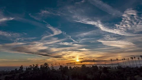 2022-03-25 Elysian Park Sunset Stock Footage 258801696