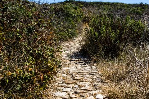 2022 08 11 Croazia cobblestone path Stock Photos