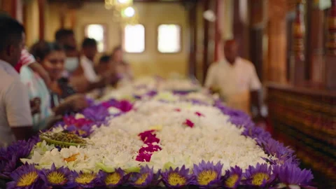2023-06-01 - Kandy, Sri Lanka. Sri Dalada Maligawa. Devotees in white perform Stock Footage 274752763