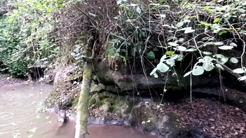 2023 09 05  17 07 21 動画素材 337713168