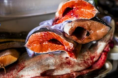 2023 8 23 Peru slice of fish 4 Stock Photos