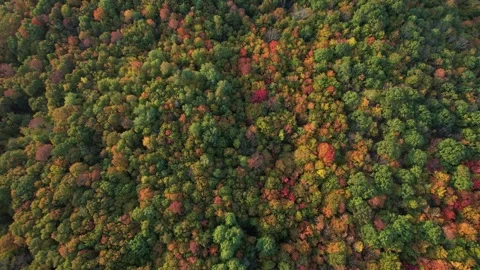 2023 BDStock 0006 Stock Footage 335698098