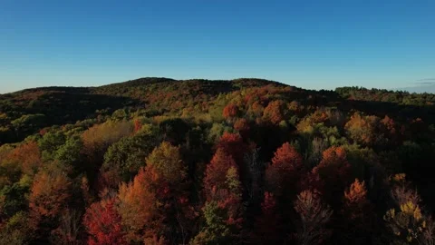 2023 BDStock 0009 Stock Footage 335698762