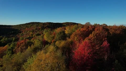 2023 BDStock 0010 Stock Footage 335698390