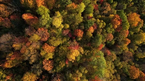 2023 BDStock 0011 Stock Footage 335698423