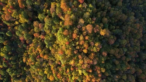 2023 BDStock 0012 Stock Footage 335698565