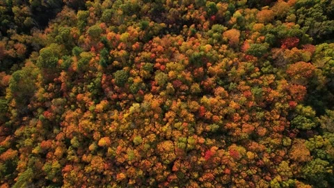 2023 BDStock 0016 Stock Footage 335698868