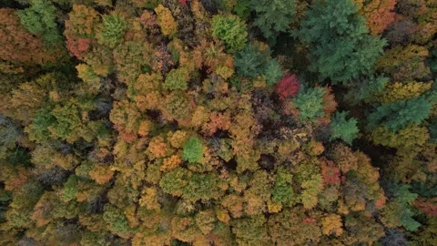 2023 BDStock 0044 Stock Footage 335701045