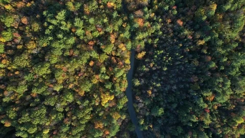 2023 BDStock 0062 Stock Footage 335703359