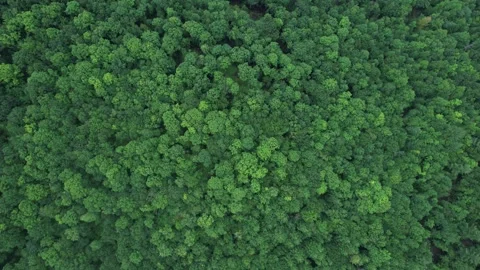 2023 BDStock 0086 Stock Footage 335705112