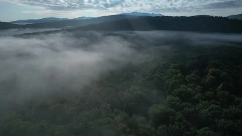 2023 BDStock 0094 Stock Footage 335705186