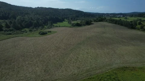 2023 BDStock 0127 Video stock 335710391