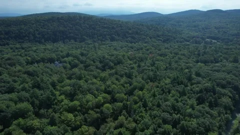 2023 BDStock 0132 Stock Footage 335710507