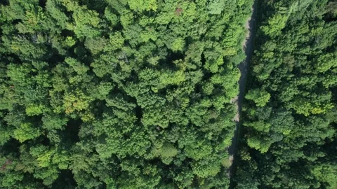2023 BDStock 0133 Stock Footage 335710590