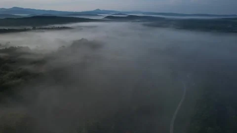 2023 BDStock 0194 Video stock 335714350