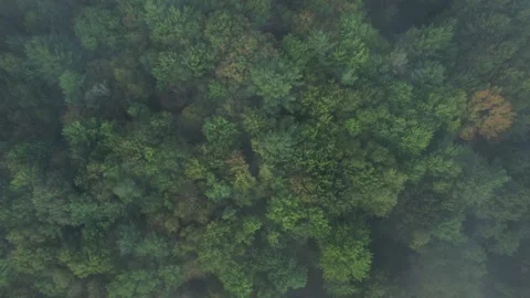 2023 BDStock 0197 Stock Footage 335714786