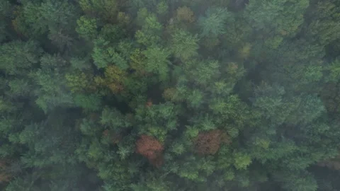 2023 BDStock 0198 Stock Footage 335715094