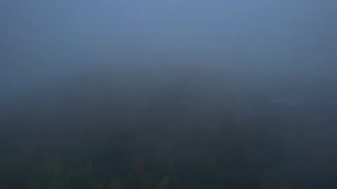 2023 BDStock 0219 스톡 동영상 335716108