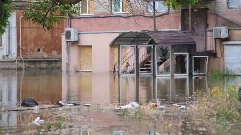 2023 - A dog is stuck trying to get into a house from a flooded stairwell in Vidéo 248296724