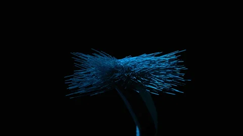 2023 is formed using optical wires. 3D rendering. Video stock 219771339