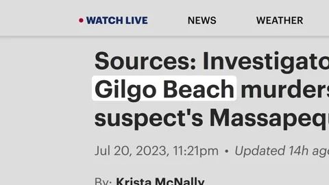 2023: Gilgo Beach, serial killings, Headlines Fast Sequence Stock Footage 246537028