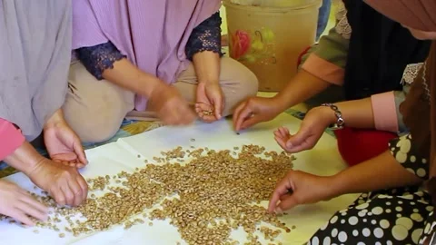 2023, group of female workers sorting coffee beans Video stock 249871829