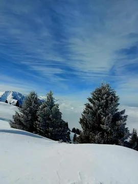 20230219 124712 Stock Photos