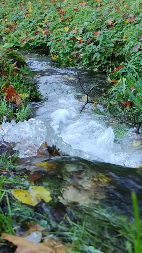 20231031 4K 60 forest stream 02 close up 9x16 스톡 동영상 273516883