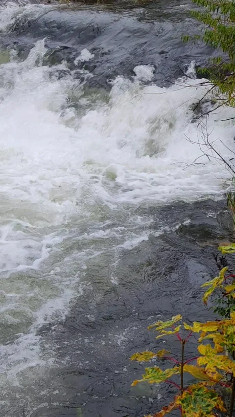 20231105 4K 60 Steps waterfall on the Odeborn River 9x16 스톡 동영상 272642771