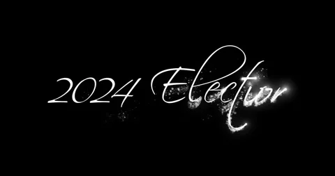 2024 Election Stock Footage 262950903