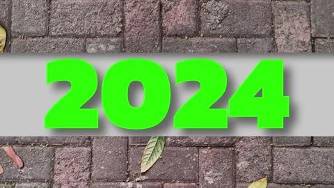 2024 Stock Footage 258532100