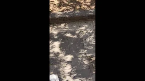 2024 Total Solar Eclipse in Tlatelolco, Mexico Stock Footage 276731936