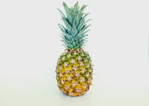 20240713 075057 Stock Photos