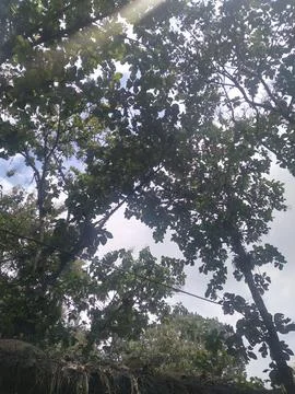 20240802 111456 库存照片