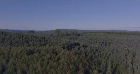 20241022C0008 Stock Footage 289070292