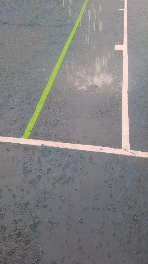 20241126 153157 Stock Footage 296025415