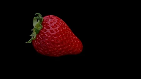 2025-01-29 C6711 Stock Footage 322866914