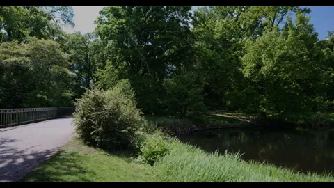 2025 05 20 Tiergarten Park 03 Video stock 309682953