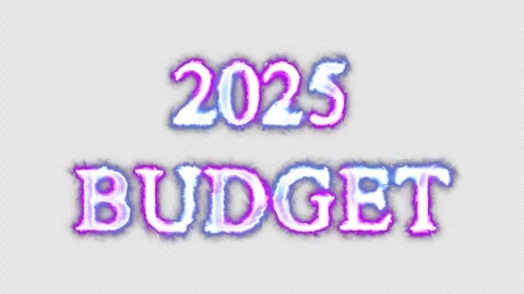 2025 budget neon effects, text animation on transparent background Vidéo 301270643