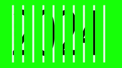 2025 year Stock Footage 295385515