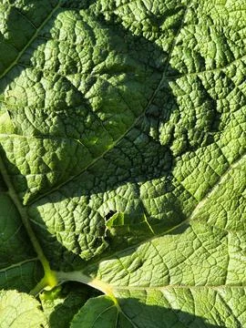 20250413 182250 Stock Photos