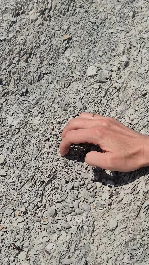 20250614 113122 Stock Footage 326650645