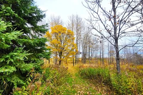 20251020 135552 Photos