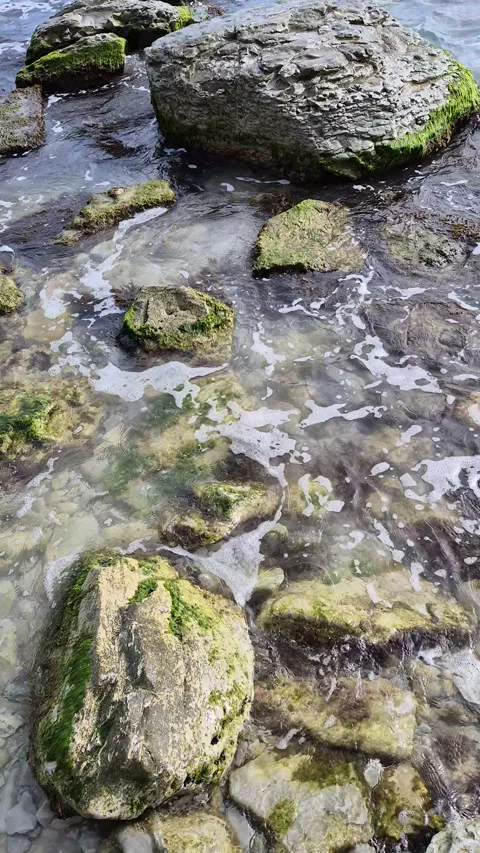 20251021 120238 Stock Footage 326429414