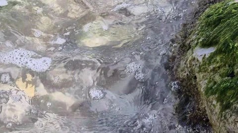20251021 120721 Stock Footage 326429431