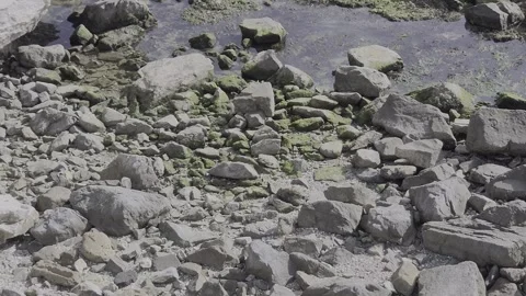 20251025 140455 Stock Footage 326428013
