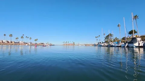 2026-03-01 Oceanside, CA Harbor Marina center dock facing north Stock Footage 331616092