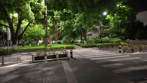 2026 Aug 01, Jiaxing. Empty nighttime urban intersection crosswalk surrounded Stock Footage 344797431