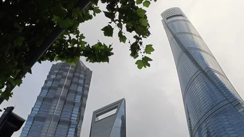 2026 Aug 27, Shanghai. Three iconic skyscrapers framed by green tree leaves Vidéo 344852743
